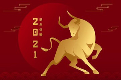 順動國際傳媒全體員工在此祝您新年快樂！